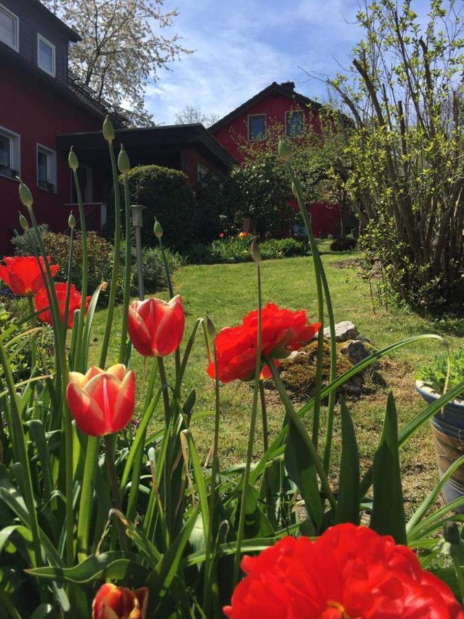 Ferienwohnung Auenthal Koditz 외부 사진